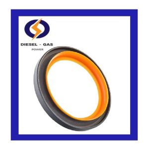 Real Oil seal 554/126