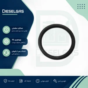 اورینگ زیر سر سیلندر Seal-o ring 576/160