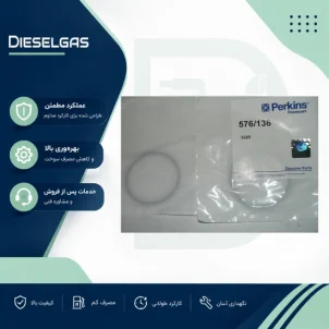 اورینگ دور انژکتور Injector O Ring down 576/136